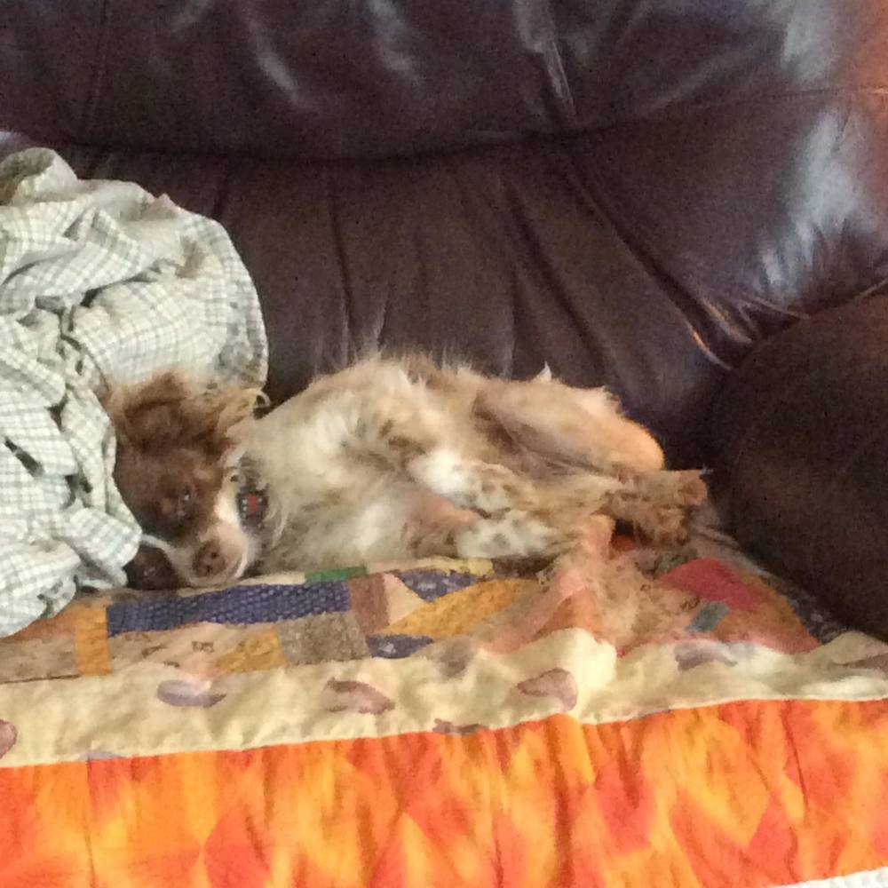 Meet your Posher, Matt